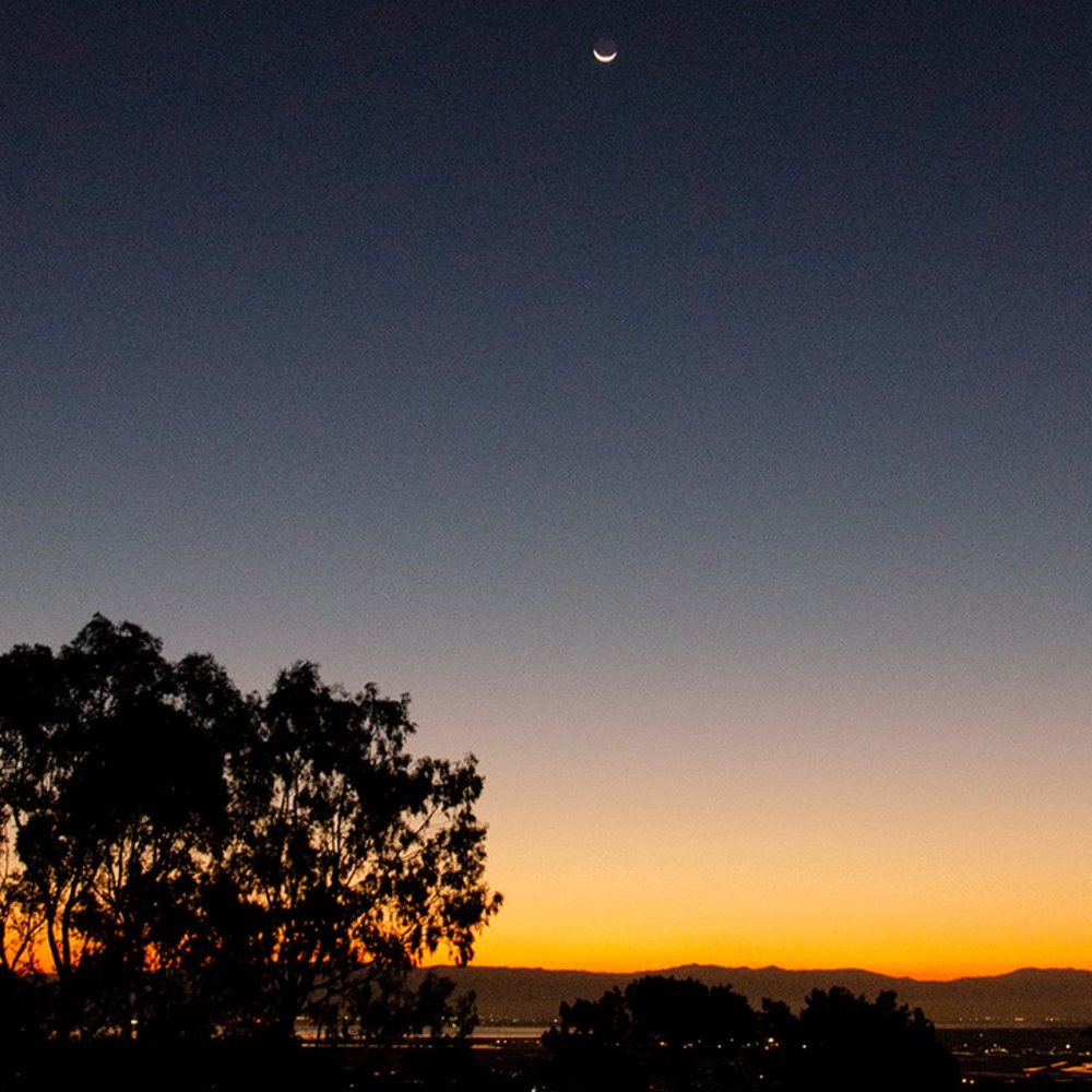 Meet your Posher, Shell